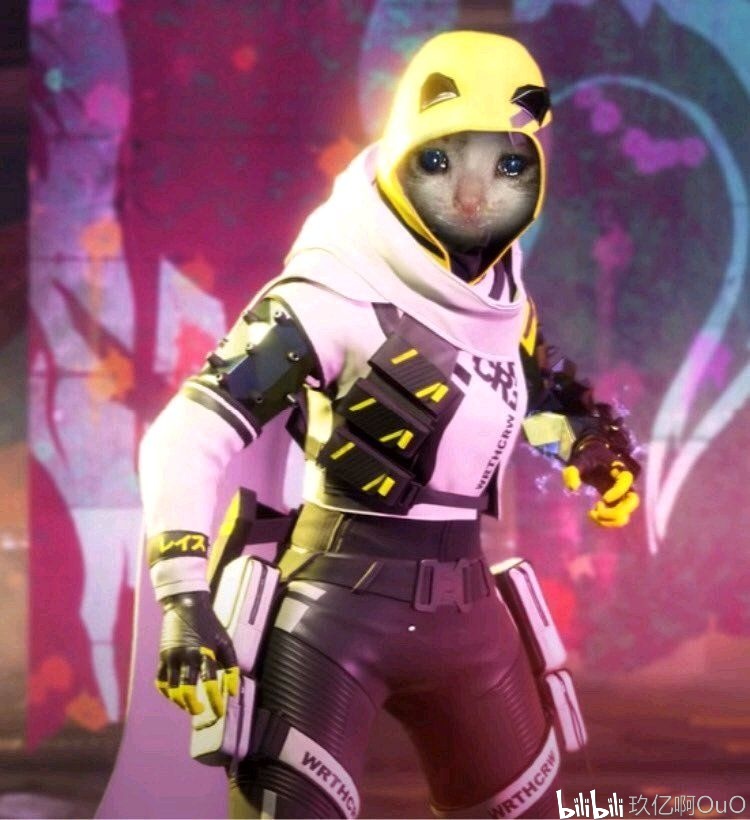 外媒评选各位置上的年度最佳阵容：EDG中野无缘